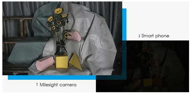 low light camera